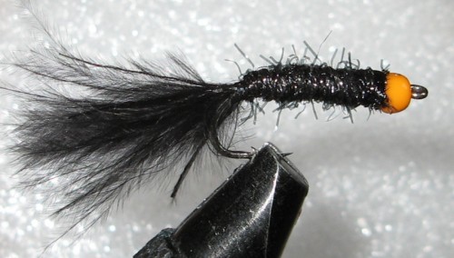 mini leech proba_abb.jpg