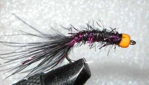mini leech proba_1.jpg