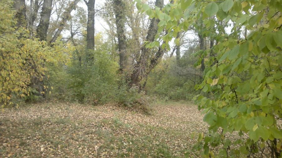 2016-10-01-2823.jpg