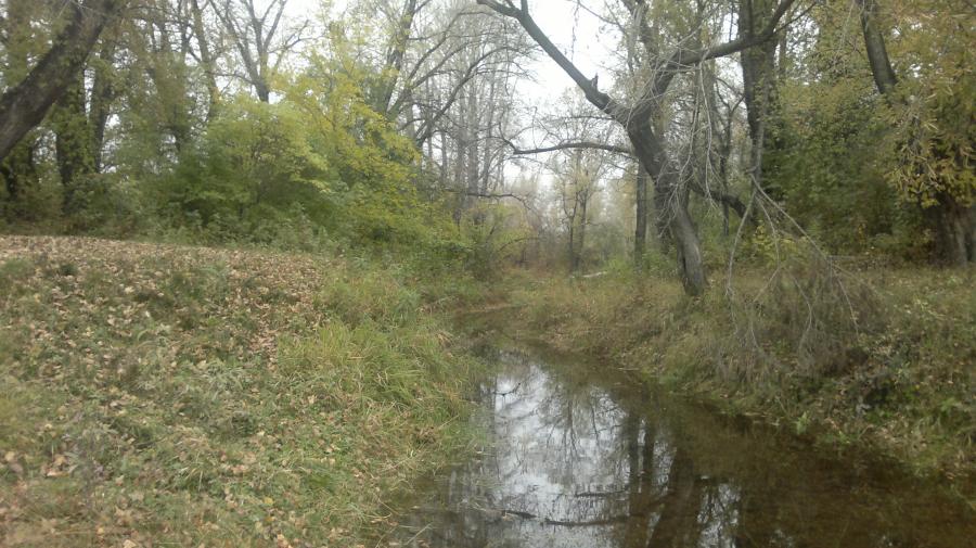 2016-10-01-2826.jpg