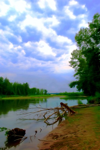 берег_коряги5.jpg