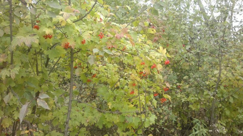 2016-10-01-2856.jpg
