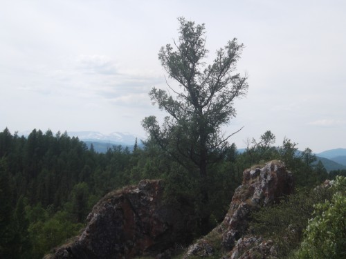 DSCF7226.JPG