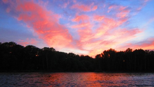 IMG_1452_.jpg