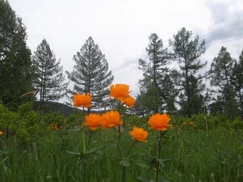 DSCF7263.JPG