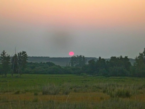 DSCF7430.JPG