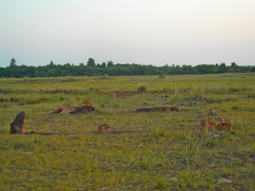 DSCF7440.JPG