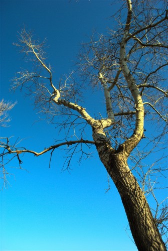 DSC_1215.jpg