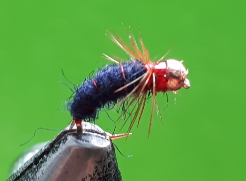 20180721_200036.jpg