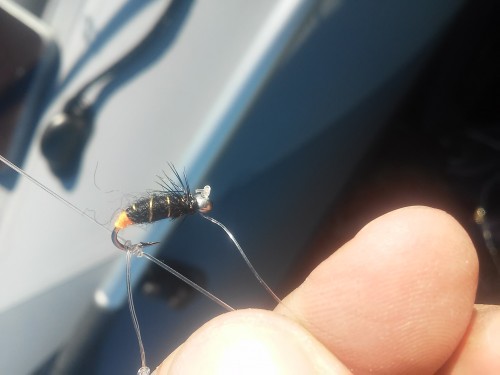 20180816_161342.jpg