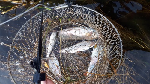 20180925_170519.jpg