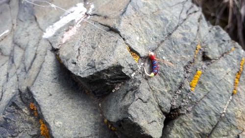IMG-20180925-WA0016.jpeg