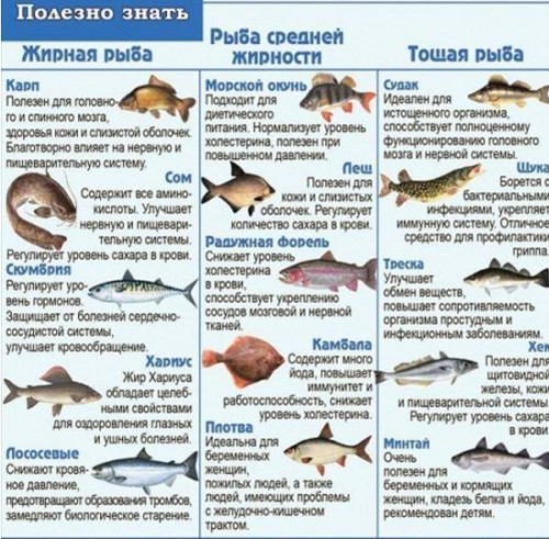 Рыба.jpg