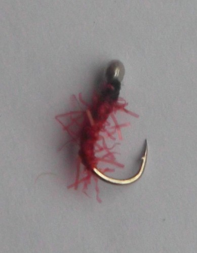 DSCF6703.JPG