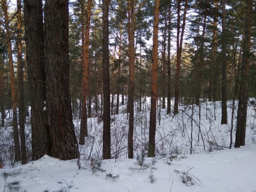 IMG_20190127_121451.jpg