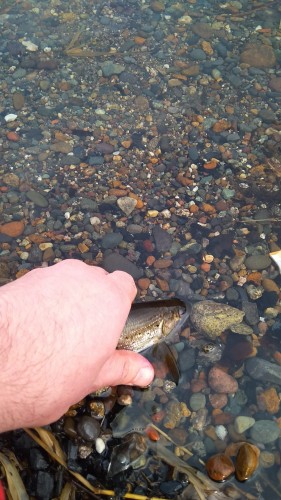 IMG_20190305_153930-1170x2080.jpg