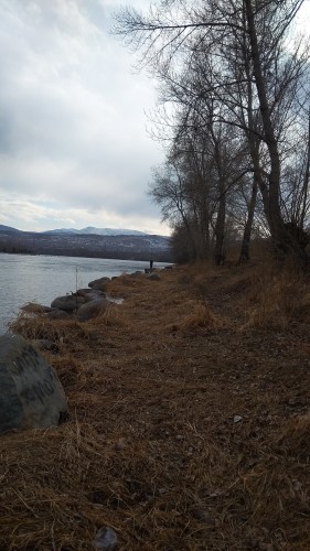 IMG_20190305_154022-1170x2080.jpg