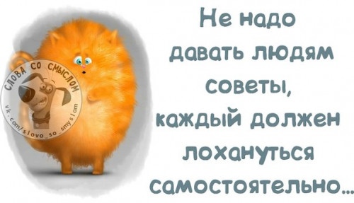 179646396_64a8d7ff96484cfeb0bb2e8468e0e9b1_800.jpg