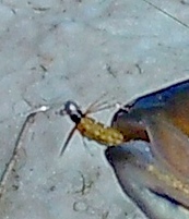 27l0BLTZ25c.jpg
