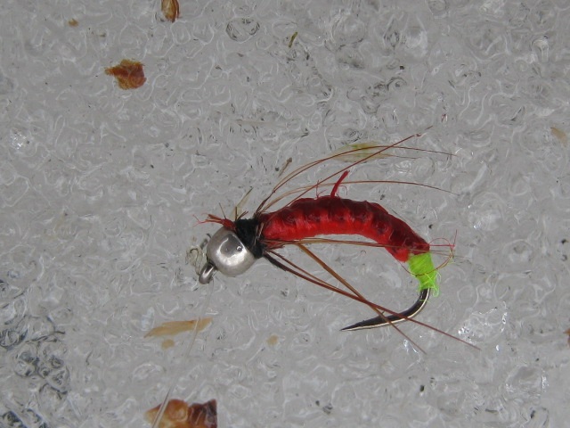 IMG_3980.JPG