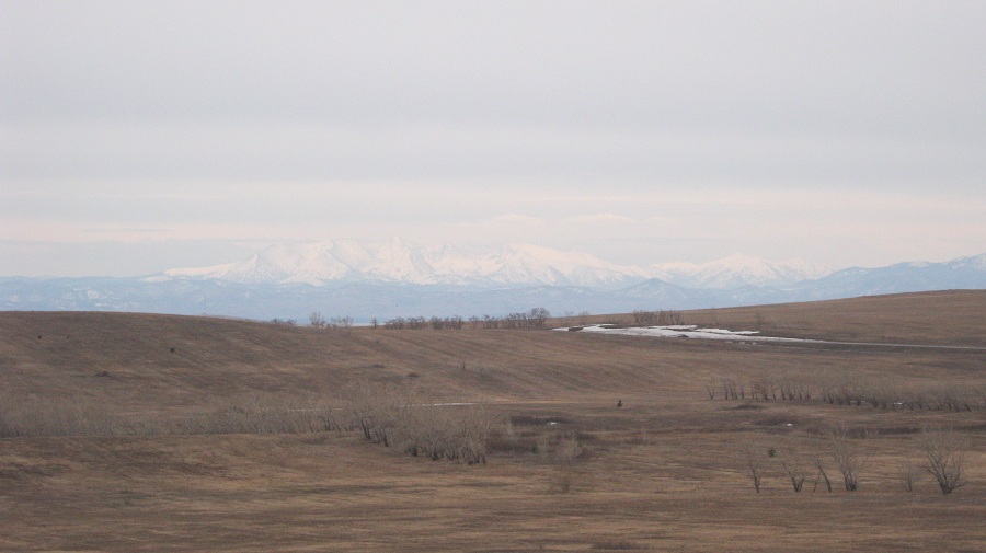 IMG_4020.JPG